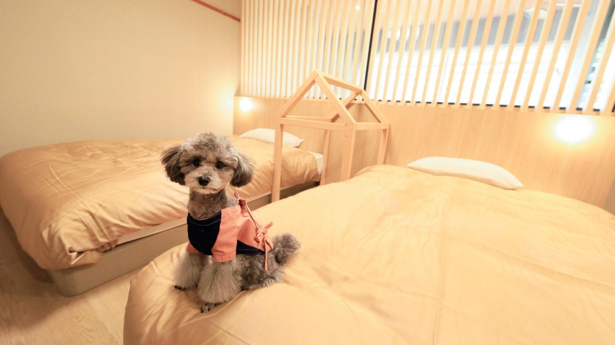 Yururi Nishiizu Hotell Izu  Exteriör bild